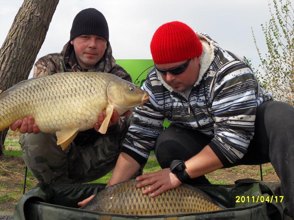 Nagykallo 2012 - rzv2012-155.JPG